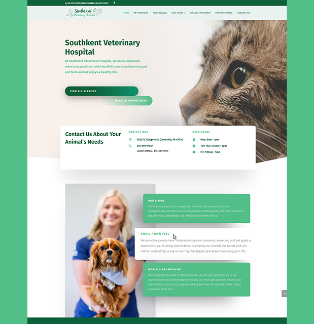 website design for vet clinic