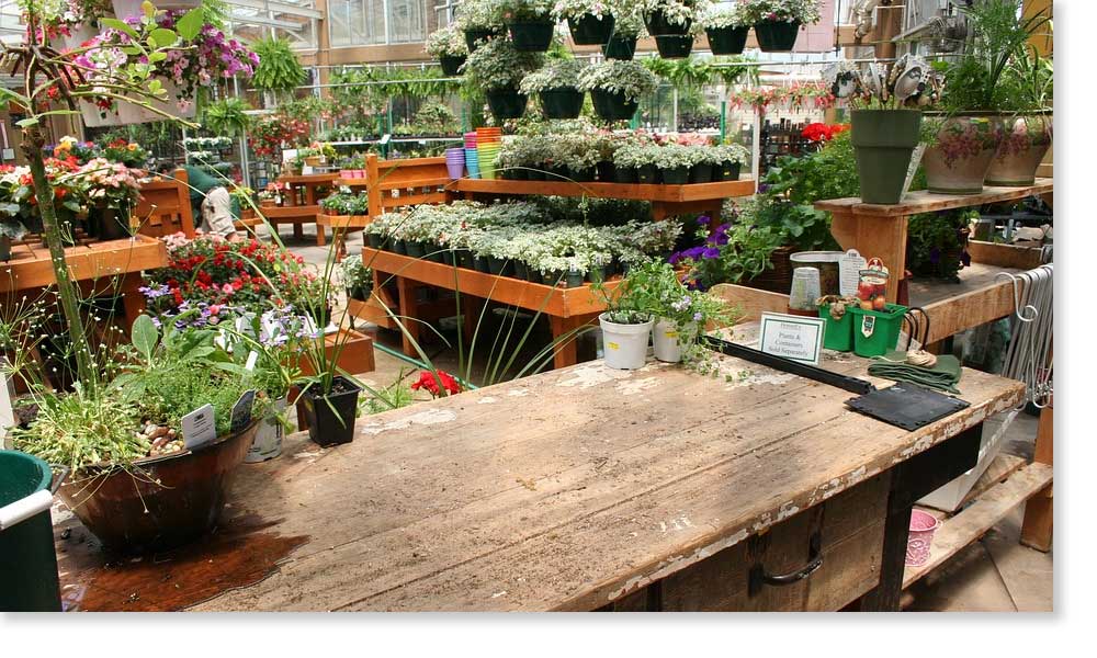 web design for independent garden center